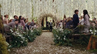 How Much Did The <em>Twilight: Breaking Dawn</em> Wedding Cost?